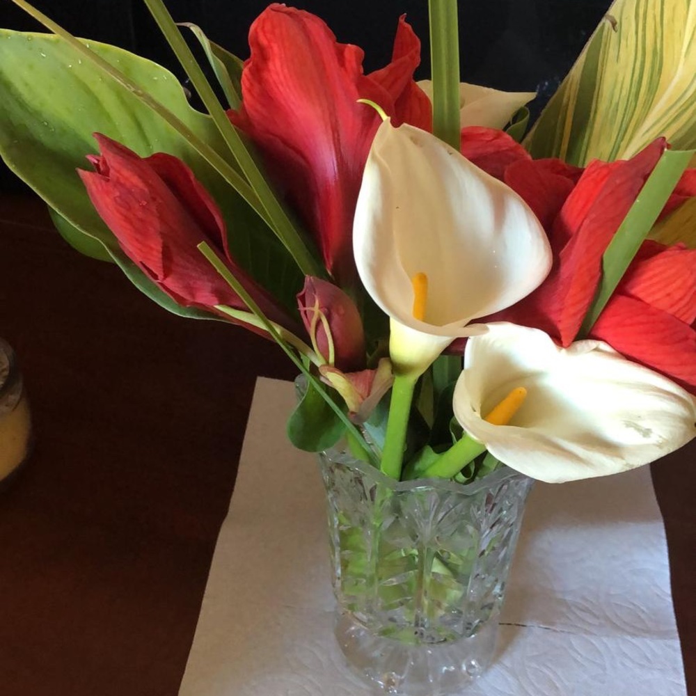 Meet your Posher, Shalini